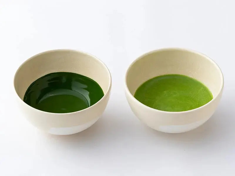 Koicha vs Usucha - Thick and Thin Matcha Explained